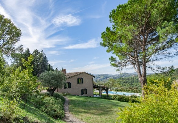 The park (partially fenced) is inserted in a stretch of semi-hilly countryside full of oaks, olive trees, fruit trees and mixed lawns - Villa Il Baiocco