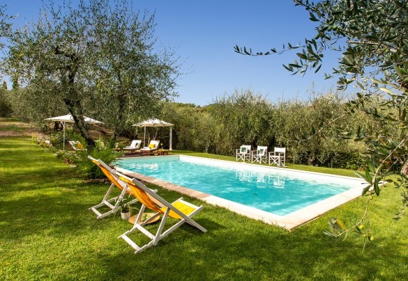 The swimming pool, with salt purification, surrounded by centuries-old olive trees - Villa Il Colle di Moriano