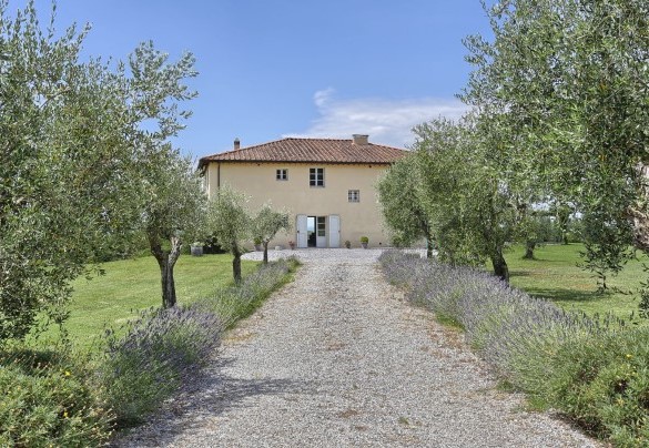 The dirt access driveway - Villa Il Meluccio