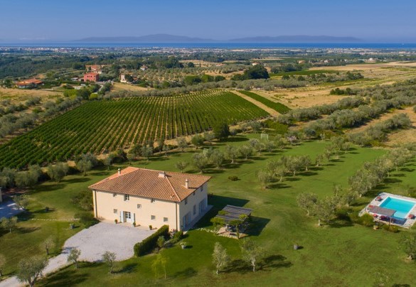 Fields surround the villa - Villa Il Meluccio