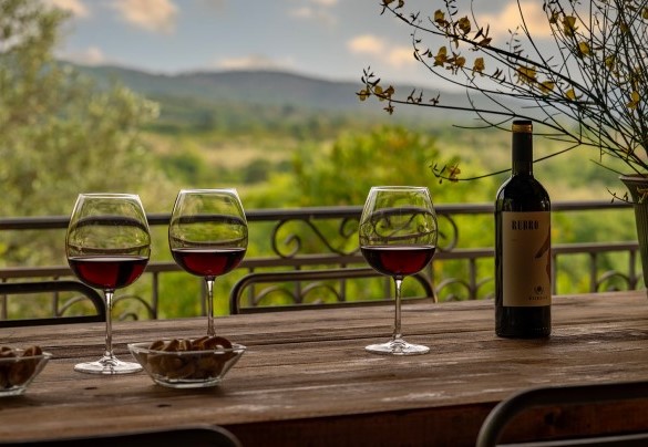Il portico con zona pranzo esterna, collegata alla cucina – Villa il Ritiro
