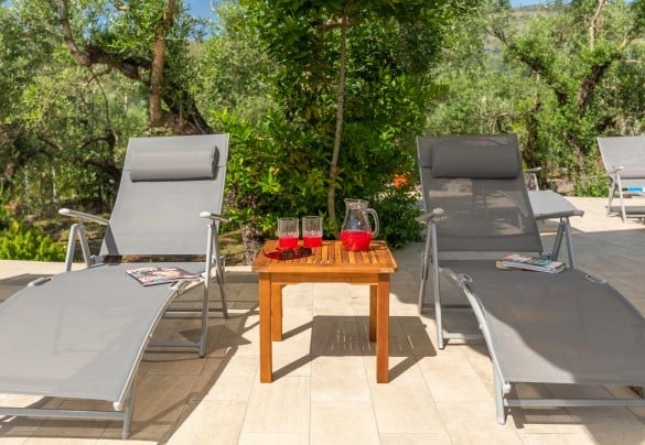 La piscina è circondata dall’oliveto – Villa Ipazia 6