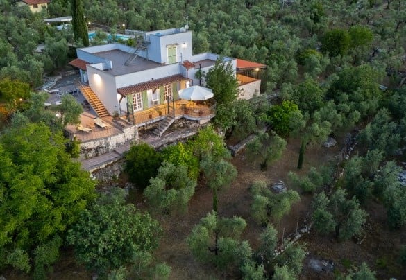 Veduta dall’alto della casa immersa nell’uliveto – Villa Ipazia 6
