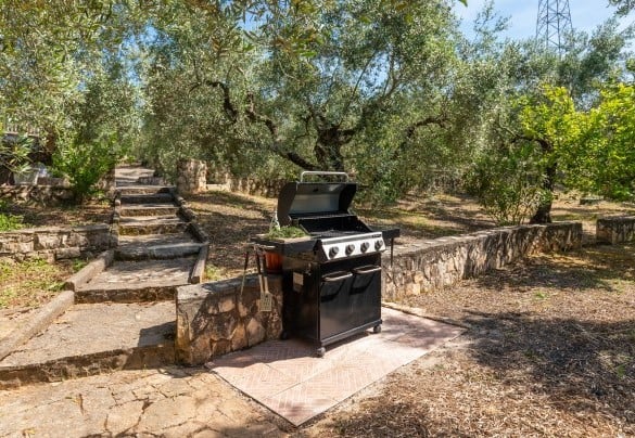 Il barbecue immerso nell’uliveto, adiacente alla zona pranzo esterna - Villa Ipazia 6