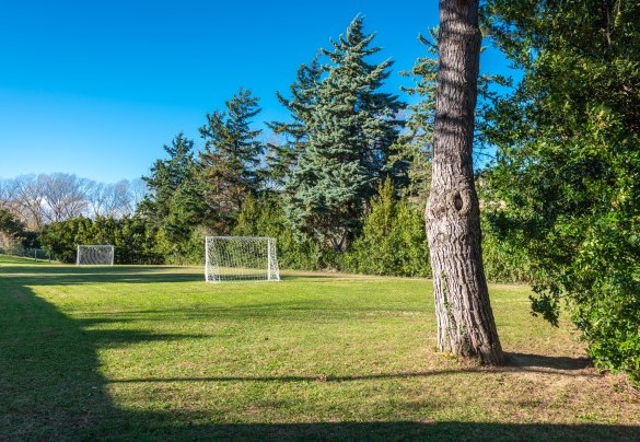 Lawn area used as a football pitch – Villa Isotta