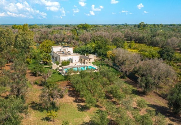 La rigogliosa vegetazione che circonda la villa per un raggio crea una cornice di circa 12.000 mq – Villa La Dolce Vita