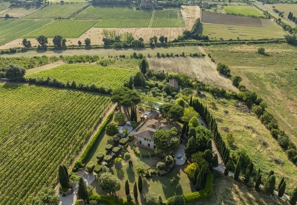 Vista panoramica della proprietà - La Monarca