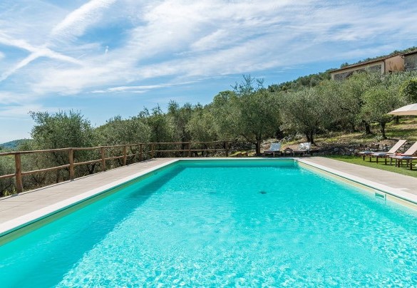 The nice pool immersed in the green park, the equipped solarium and the house in the back ground – Villa La Poiana 10