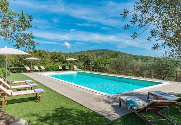 The nice pool immersed in the green park, the equipped solarium – Villa La Poiana 10  