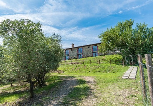 The property pool surrounded by olive grove – Villa La Poiana 10