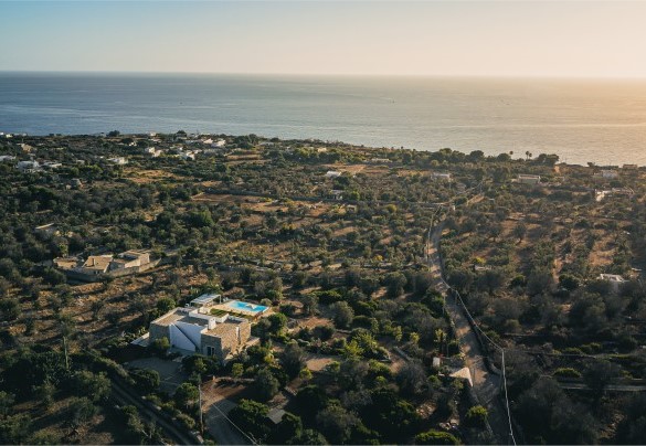 L'ampia zona verde che circonda la dimora è di circa 8.000 mq in stile mediterraneo con ulivi e alberi ornamentali, piante grasse, aromatiche e terrazzamenti rocciosi – Villa la Pupazza