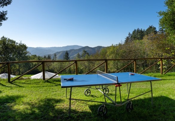 Tavolo da ping pong presso la piscina - Villa La Rassinata