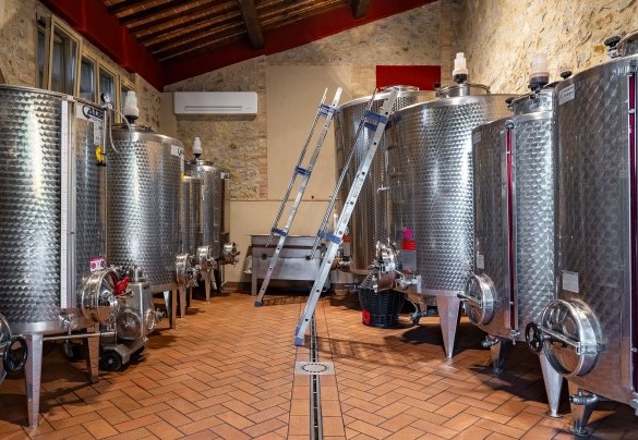 The Wine Cellar for On-Site Tastings – Villa Le Beringhe