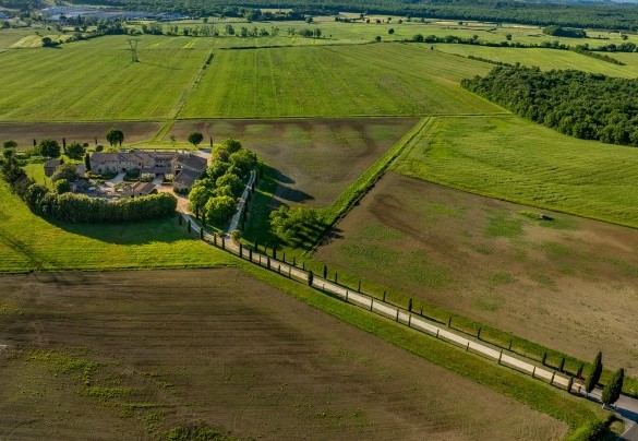 The property is immersed in a natural setting of great beauty, among hills, woods, and vineyards - Villa Le Beringhe