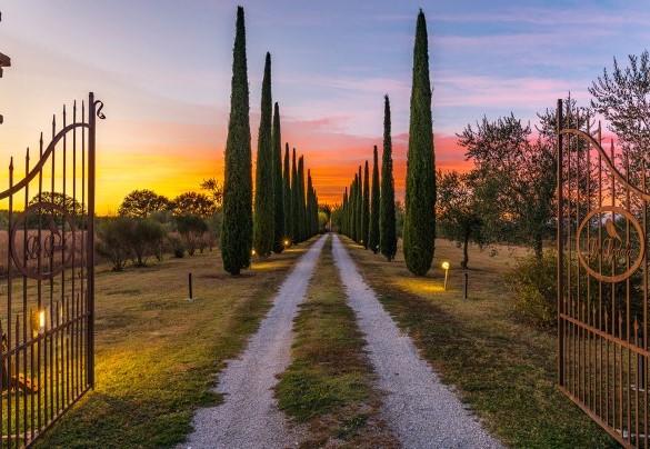 Il cancello e il viale d’ingresso bordato dai cipressi – Villa Le Chiarne 