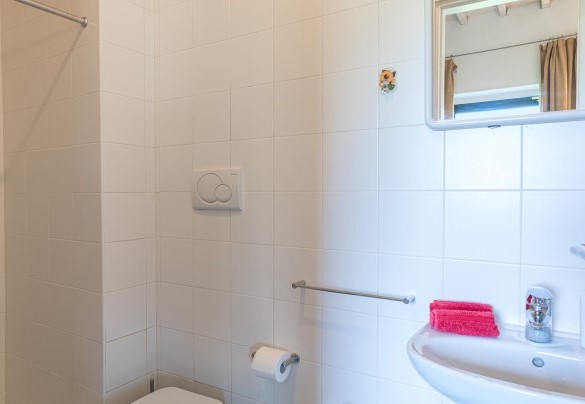 En suite bathroom with shower on the ground floor - Villa Le Fontane