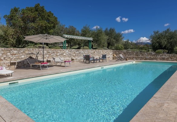  The pool in the foreground and the typically Umbrian olive grove - Villa Le Logge 