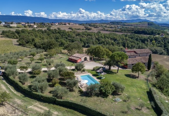 The olive grove embraces the property - Villa Le Logge