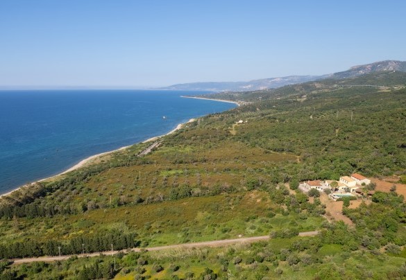 Aerial view of the property – Villa Le Sorbe