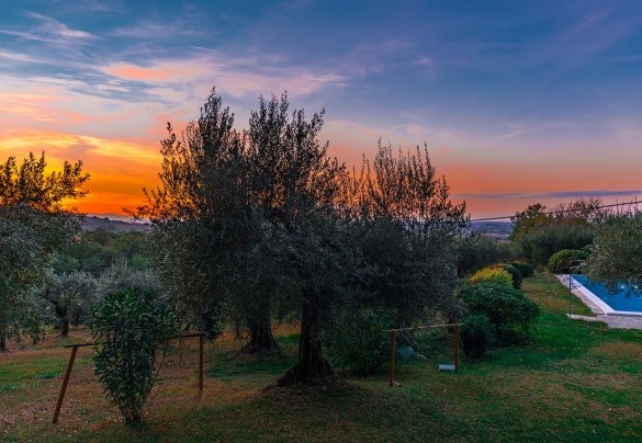 The swimming pool embraced by the green hills and centuries-old olive trees- Villa Lemura 
