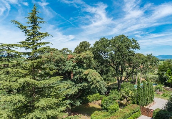  The majestic garden seen from above - Villa Lemura