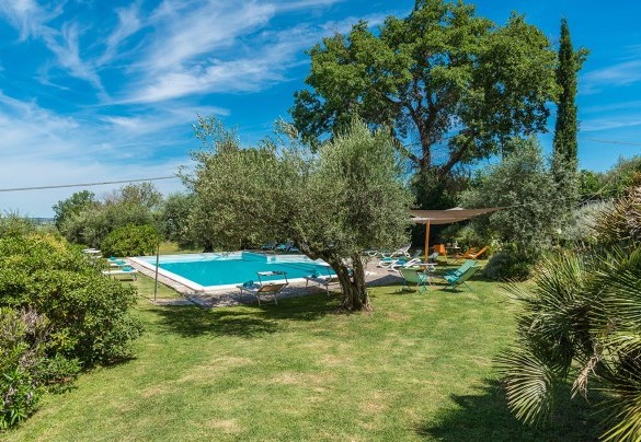 The swimming pool surrounded by the green garden - Villa Lemura