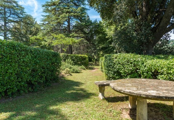 Beautiful oleanders surround part of the house as well as roses, lavender, tall cedars of lebanon, cypresses, pines and fruit trees - Villa Lemura 