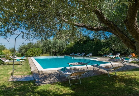 The pool is located inside the park and is totally surrounded by greenery - Villa Lemura 