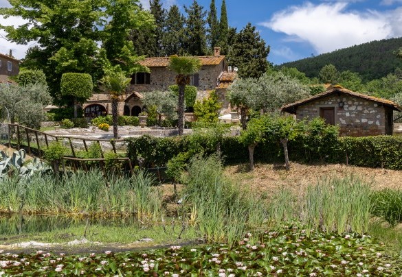 In the furthest part of the garden, at a lower level with respect to the house and the pool, is a lovely pond – Villa Loredana