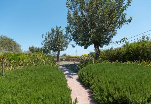 Il vialetto che porta alla piscina – Villa Majoli