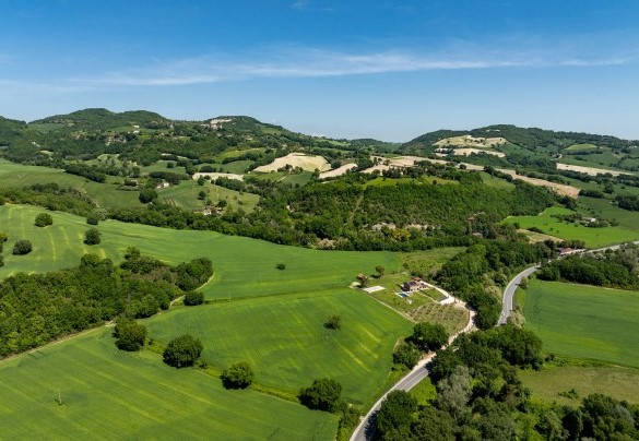 The property surrounded by greenery – Villa Mamon
