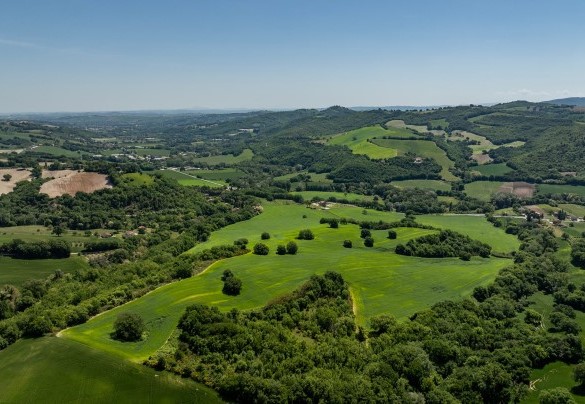 Hilly landscape up to the Adriatic Sea – Villa Mamon