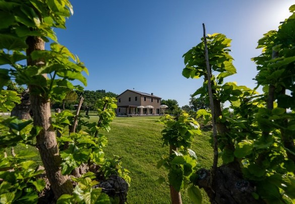 The property is nestled in the greenery of the park – Villa Mamon