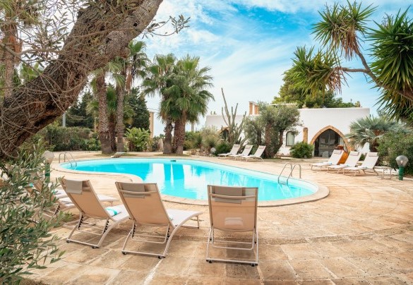 The pool surrounded by palm trees and typical vegetation - Villa Manco