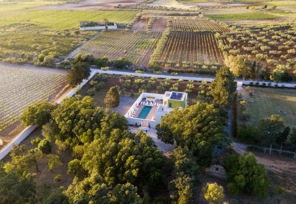 Surrounded by centuries-old olive groves and vineyards that produce the renowned Sicilian wine - Villa Maria Paradiso