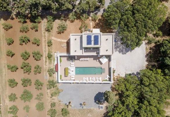 The villa is set in 1,9 hectares of land among olive trees and large pine groves - Villa Maria Paradiso