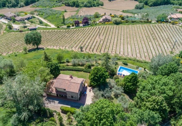 The 5000 sq m property is distributed among olive groves, vineyards and woods that extend over the surrounding valley - Villa Mila