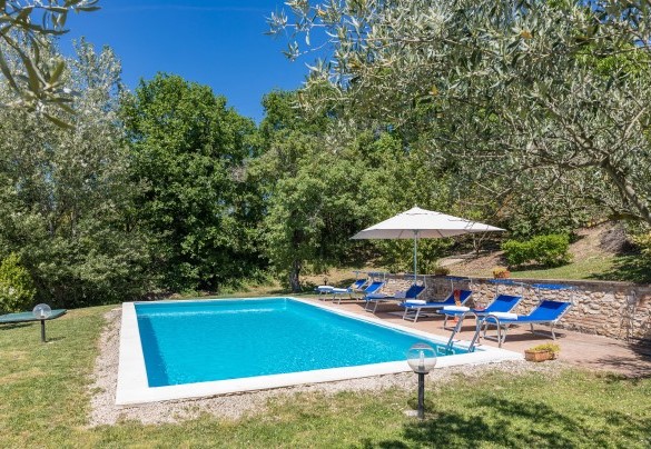 The approximately 50 sq m solarium area, partly tile-paved and partly lawn - Villa Mila