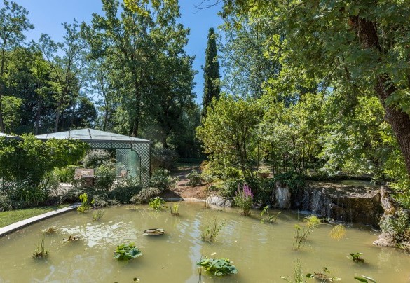 Laghetto delle ninfee vicino all’area piscina, all’uscita delle porte finestre delle camere – Villa Mimmina