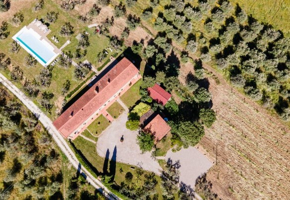 La villa immersa nell’esteso uliveto con la piscina e la zona living e dining esterna sul retro ed il parcheggio coperto sul davanti – Villa Monnalisa