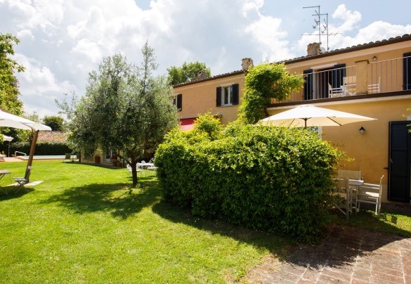 Il parco è un susseguirsi di olivi, alberi d’alto fusto, cespugli, rose ed altre piante aromatiche – Villa Mosca