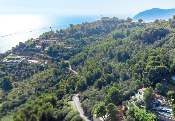 La proprietà è immersa nella natura - Villa Nel Blu