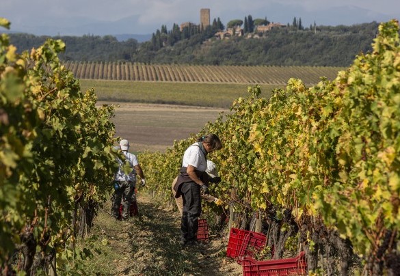 In the vicinity are many specialised wineries producing Brunello and many wonderful borghi of eternal charm – Villa Nicola