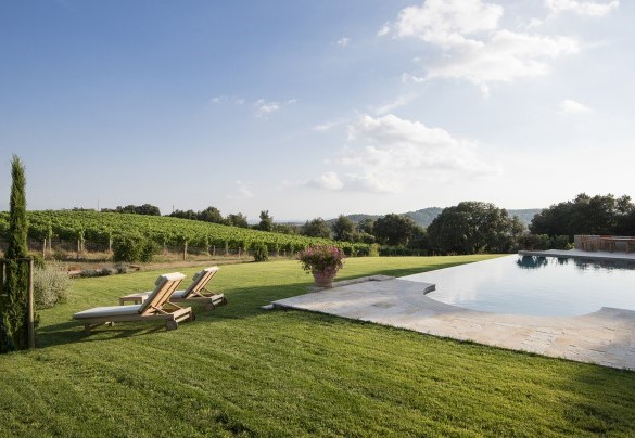 Panoramic view over the pool and the vineyard – Villa Nicola