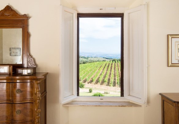 Panoramic view over the vineyard – Villa Nicola