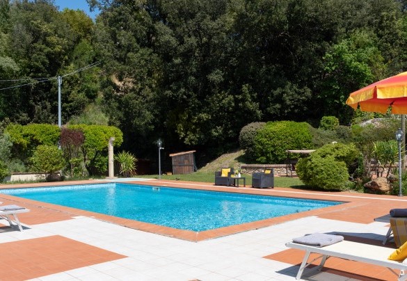 Nella parte retrostante la casa, seguendo la naturale conformazione del terreno, si trova una zona boscosa dove spiccano i lecci – Villa Nikka
