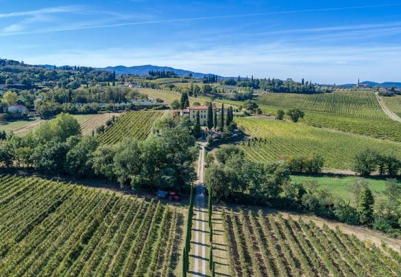 The unpaved access driveway leads to the villa - Villa Palazzaccio