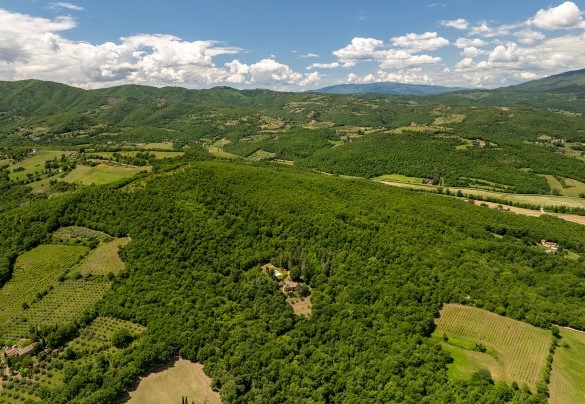 The Tuscan hills a few kilometers from Anghiari - Villa Palazzolo