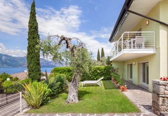View on the garden of the house - Villa Palladini