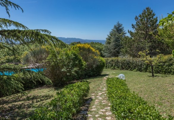 The path in the lawn that leads from the house to the pool - Villa Paola 